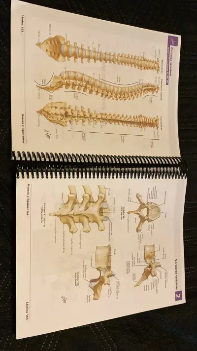 Atlas de Anatomía Humana de Frank H. Netter 6ª Edición - miniatura 2