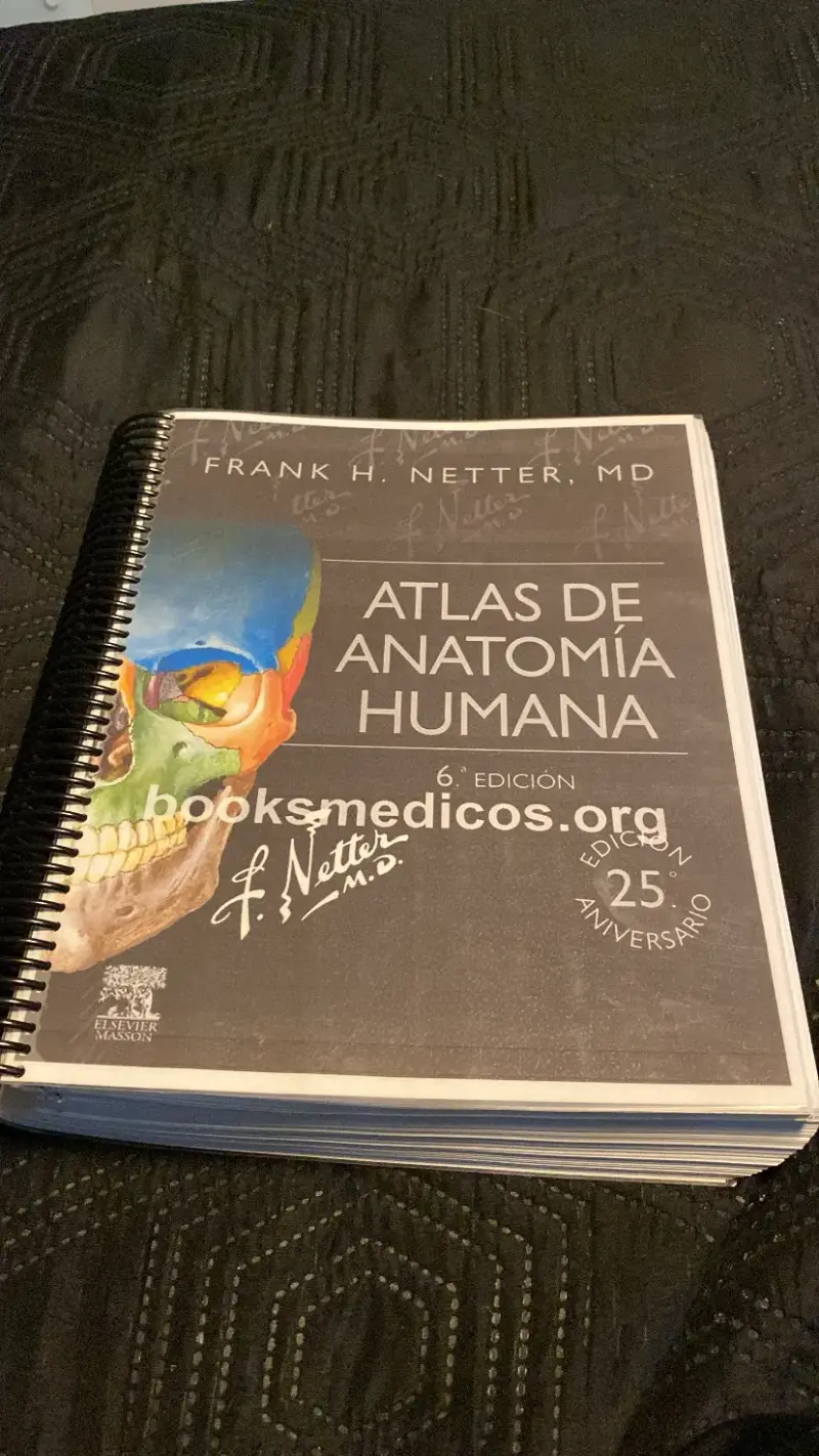 Atlas de Anatomía Humana de Frank H. Netter 6ª Edición - 3
