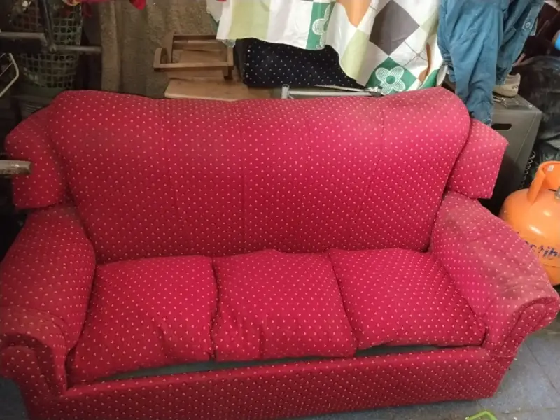Sofá y sillón de tela estampada roja y azul - 1