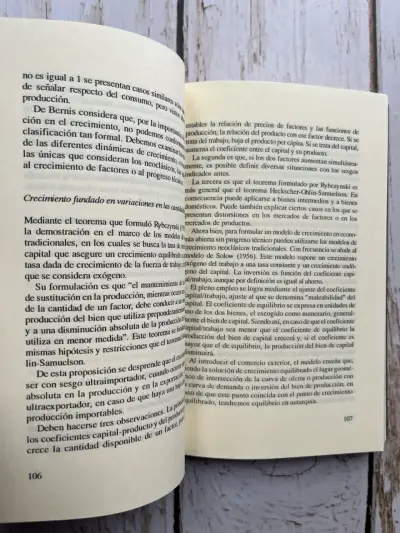 Ley del Valor y Mercado Mundial Federico Manchón - miniatura 6