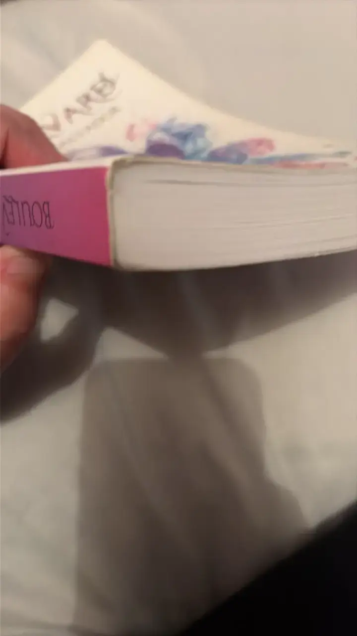 Libro Boulevard de Flor M. Salvador - 3