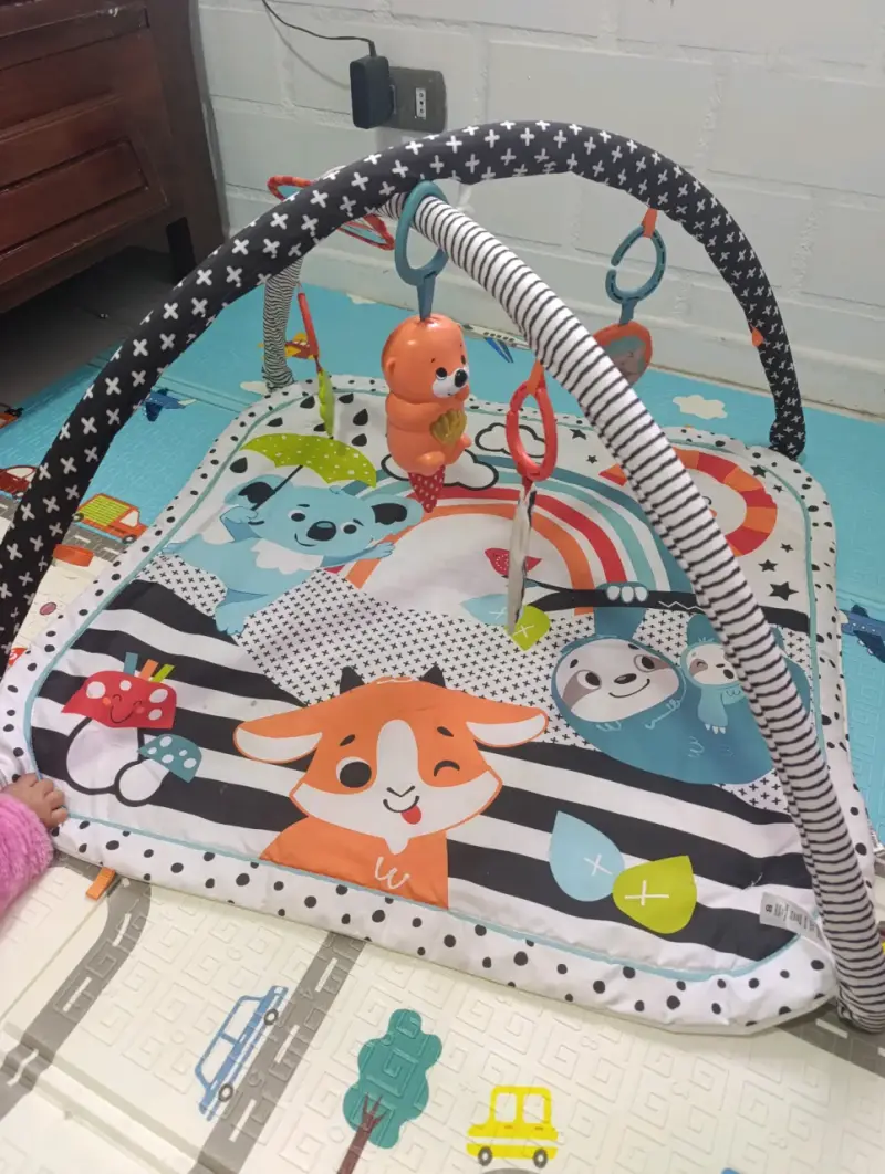 Gimnasio para bebé fisherprice - 2