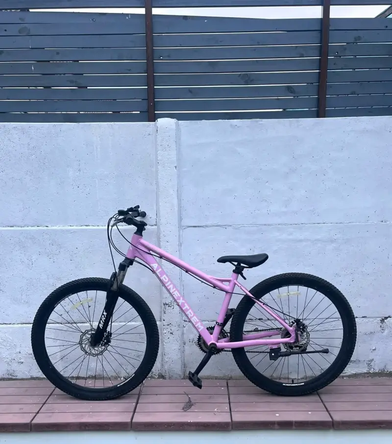 Bicicleta de montaña Alpine X-Trem rosa - 1