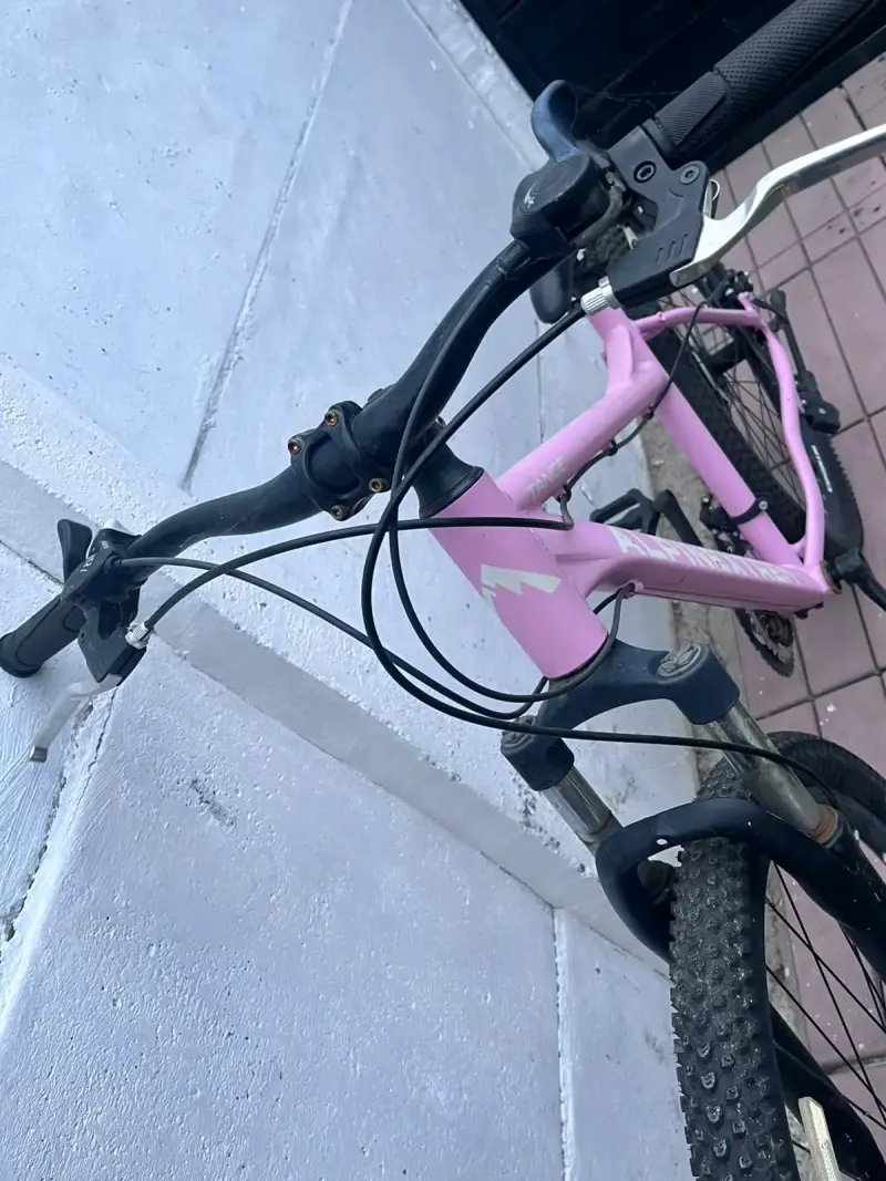Bicicleta de montaña Alpine X-Trem rosa - 2