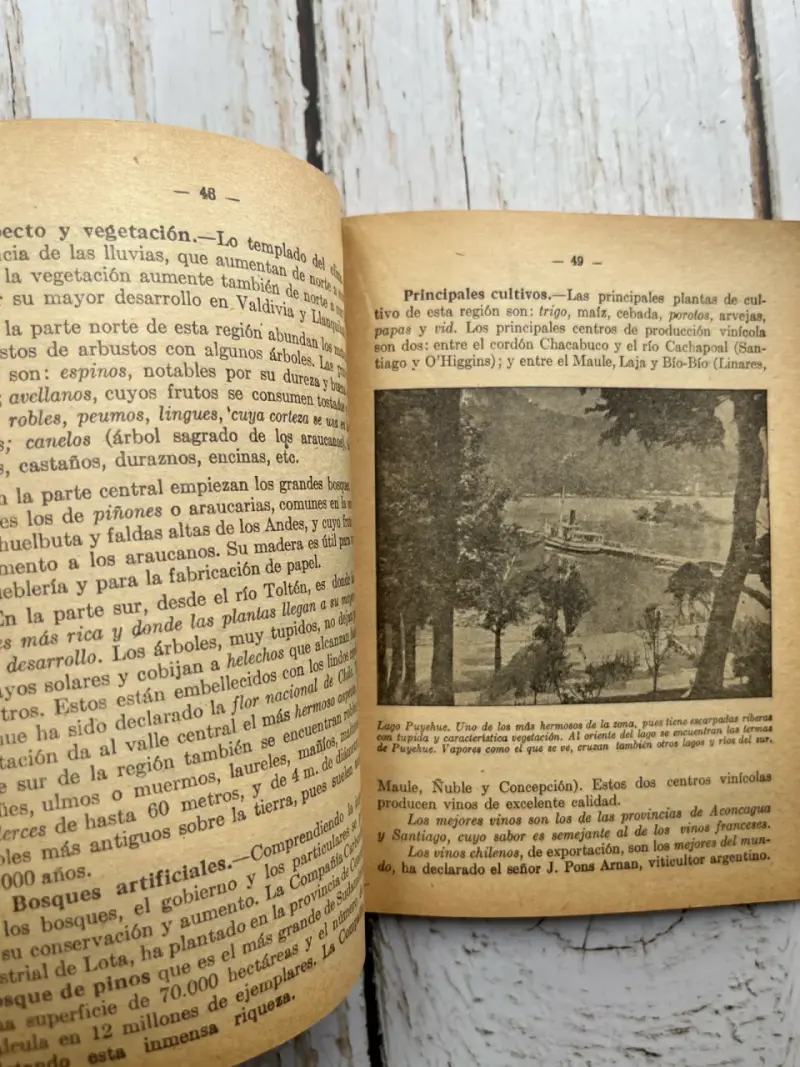 Libro Geografía de Chile Vicente Bustos Pérez 1956 - 6