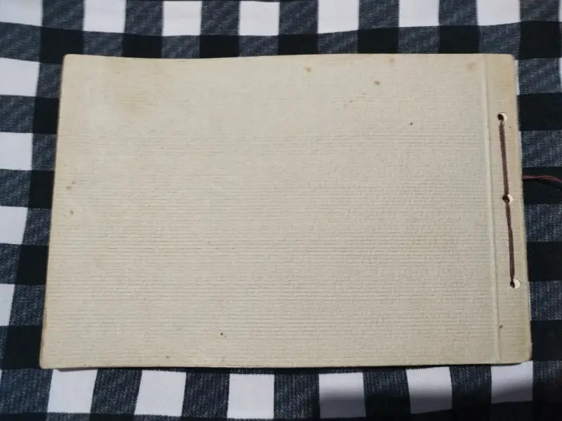 Álbum de Viña del Mar 1913 - 6