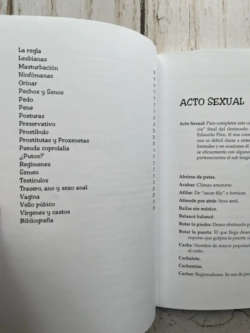 Groserías y Palabrotas Chilenas de Jaime Campusano - 5