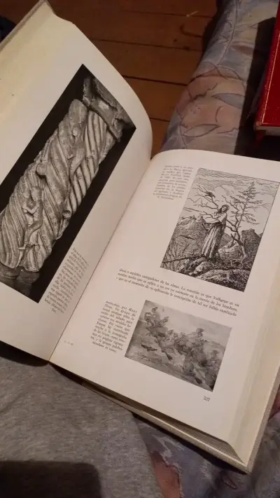 Libro Mitología Germánica Ilustrada de Branston - miniatura 2