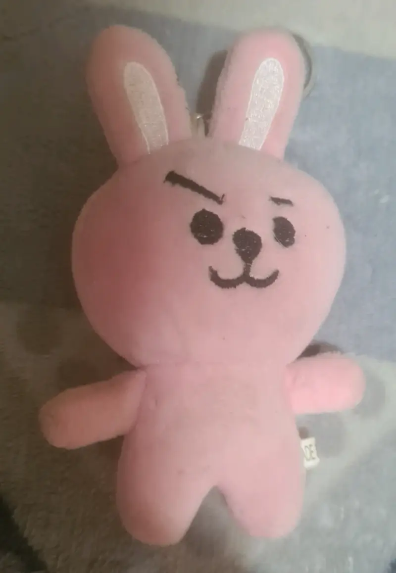 Peluche llavero COOKY BT21 (no original)