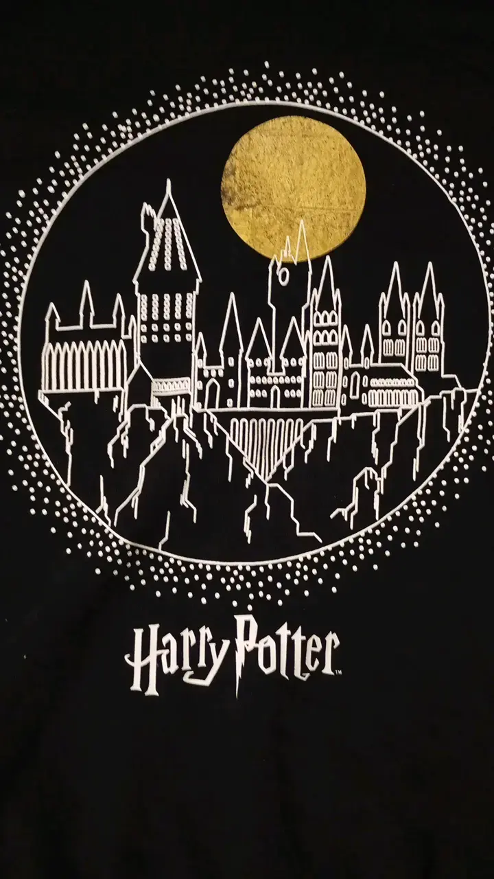Polerón negro Harry Potter con diseño Hogwarts - 2