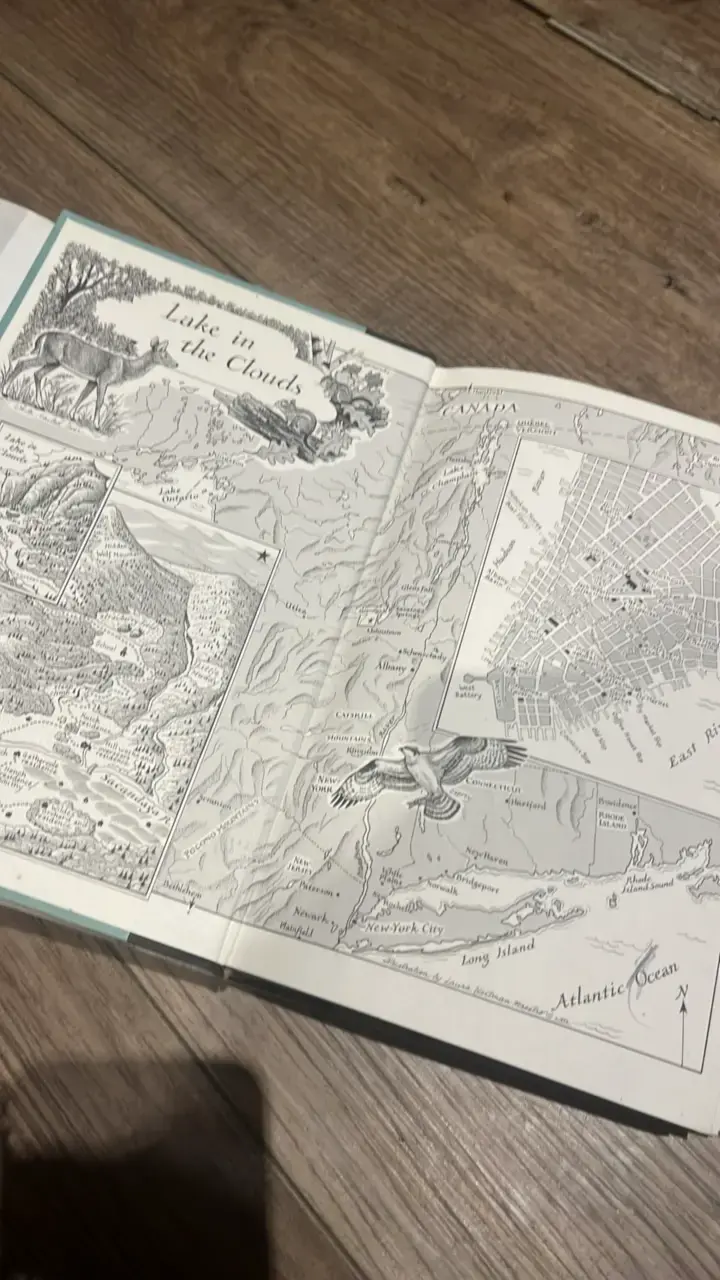 Libro 'Lake in the Clouds' de Sara Donati - 2