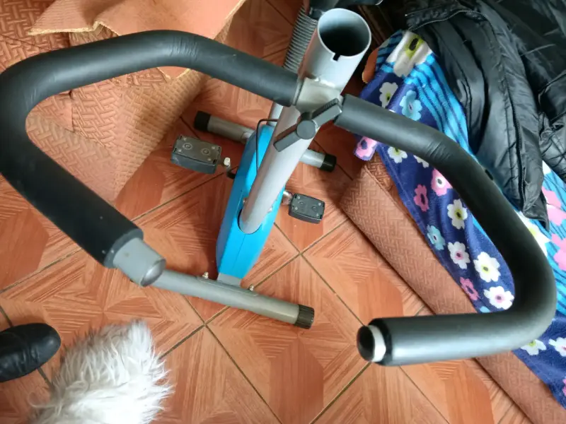 Bicicleta estática de ejercicio Larsen azul - 4
