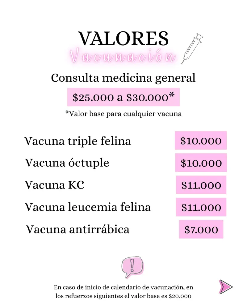 Servicios veterinarios a domicilio perros y gatos - 2