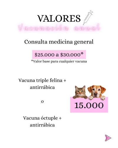 Servicios veterinarios a domicilio perros y gatos - miniatura 3