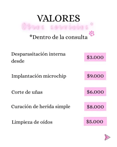 Servicios veterinarios a domicilio perros y gatos - miniatura 4