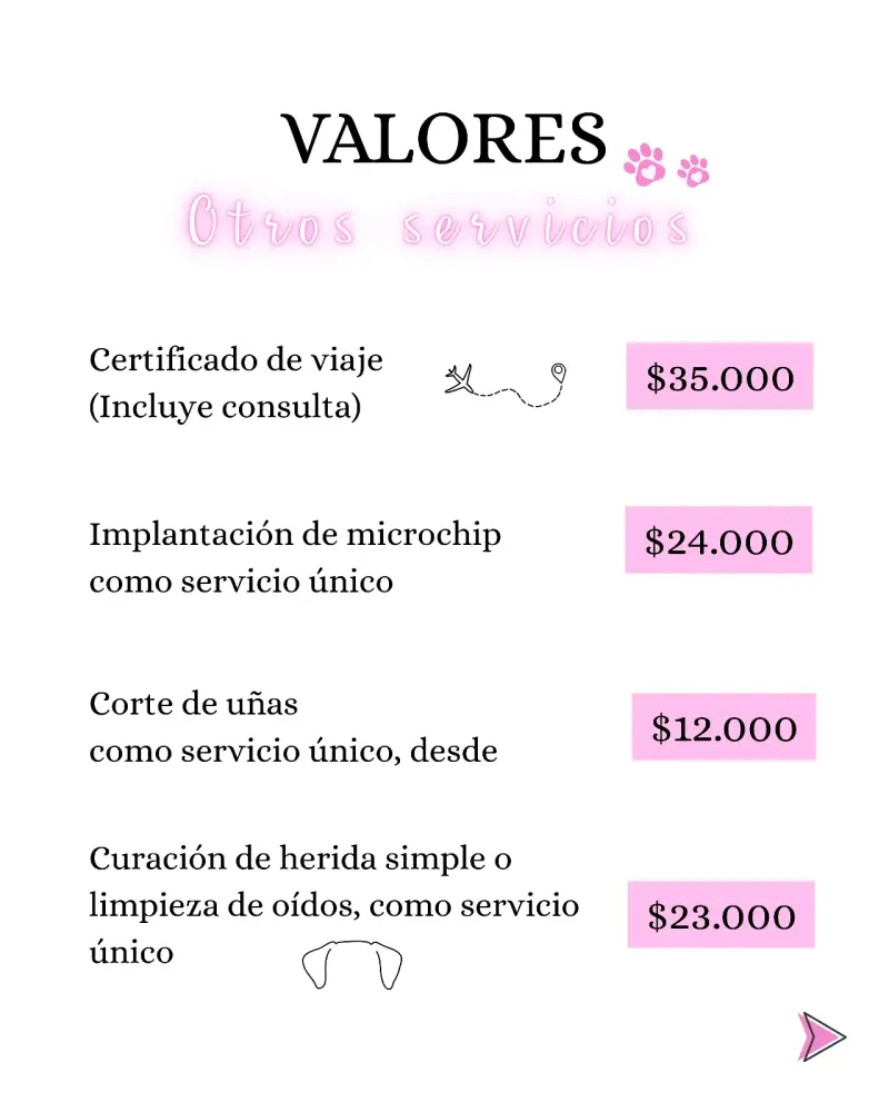 Servicios veterinarios a domicilio perros y gatos - 5