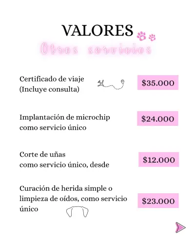 Servicios veterinarios a domicilio perros y gatos - miniatura 5