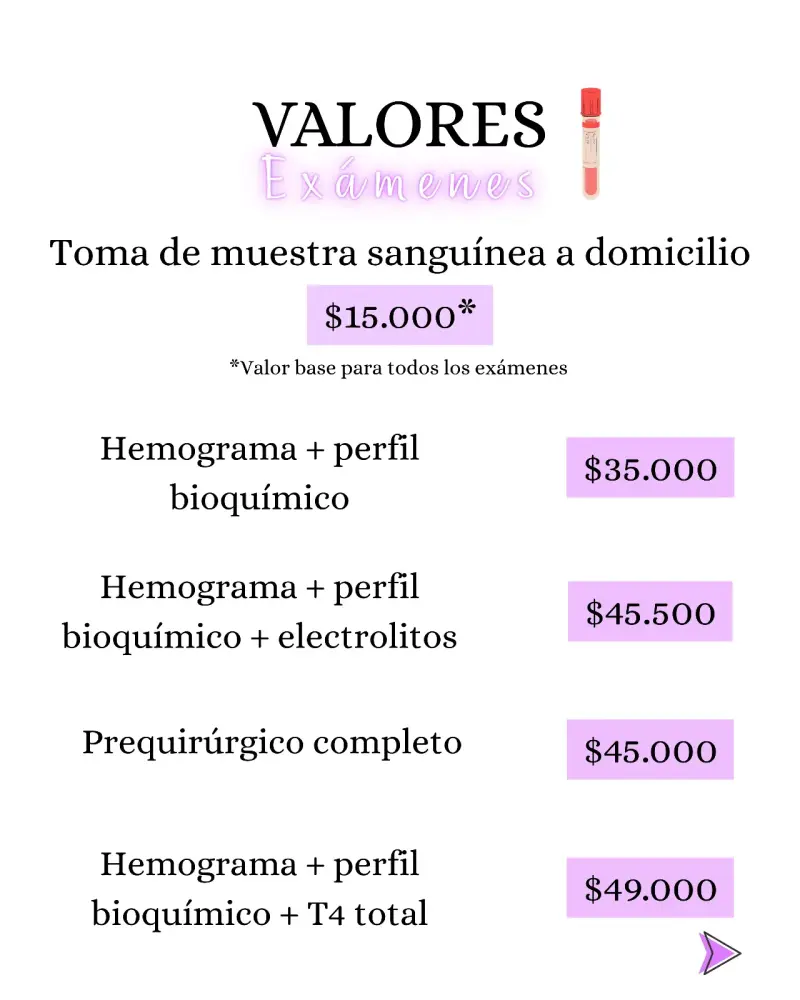 Servicios veterinarios a domicilio perros y gatos - 6