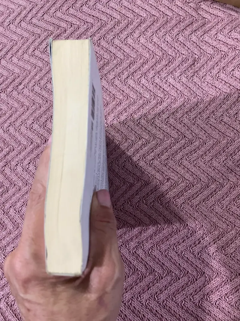 Libro 'La Vida Mentirosa de los Adultos' - 4