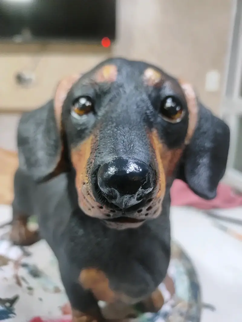 Figura decorativa de perro salchicha en resina - 5