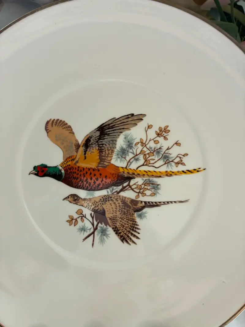 Plato de porcelana con diseño de faisán - 3