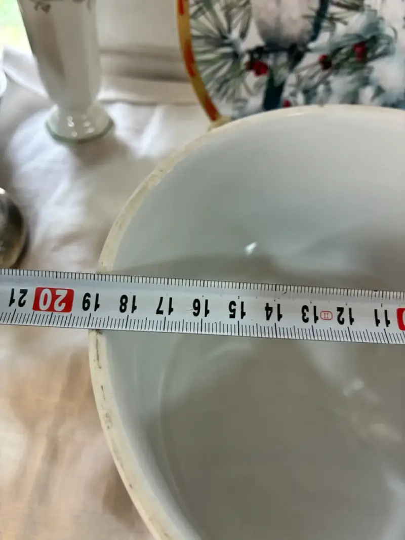 Bol de porcelana con diseño de frutas - 5