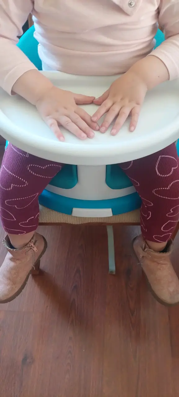 Silla de alimentación para bebé con bandeja ajustable - 2
