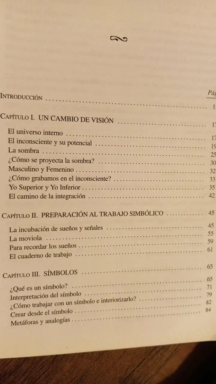 Libro 'La Clave Está en Tus Sueños' de Beatriz F. del Castillo - 3