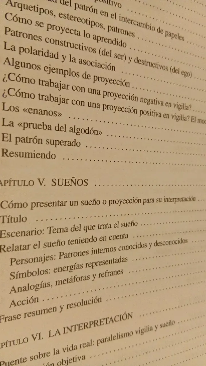 Libro 'La Clave Está en Tus Sueños' de Beatriz F. del Castillo - 4
