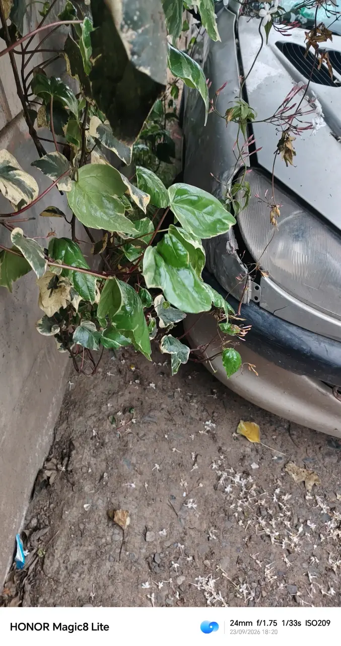 Peugeot 206 usado en buen estado - 5