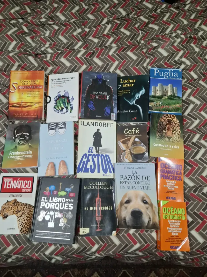 Lote de 16 libros variados en buen estado