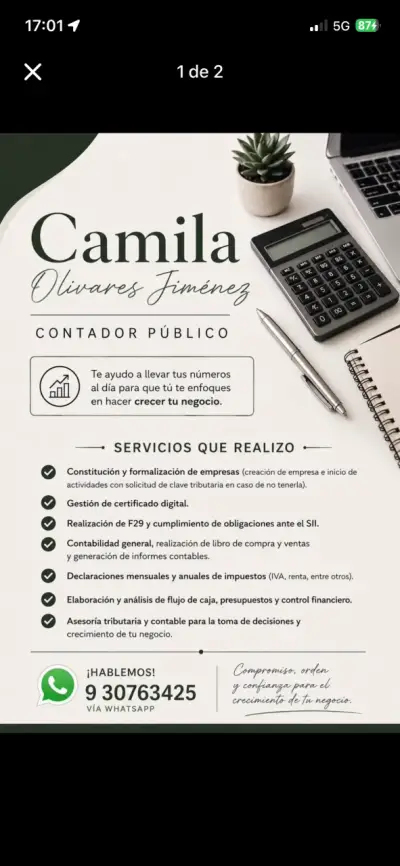 Servicios contables - miniatura 1