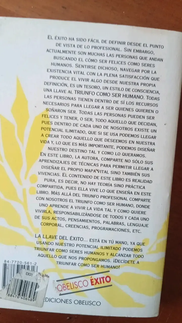 Libro 'La Llave del Éxito' de Rosa María Forner - 2