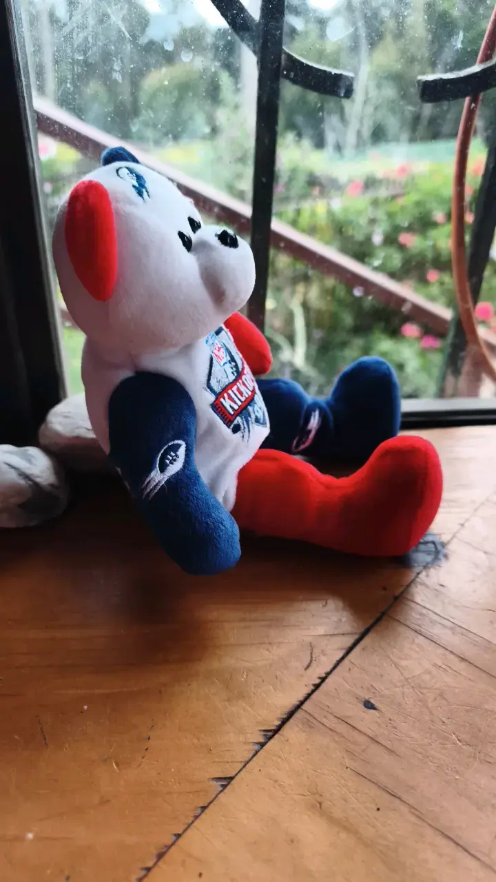 Peluche NFL Kickoff 99 edición especial - 4