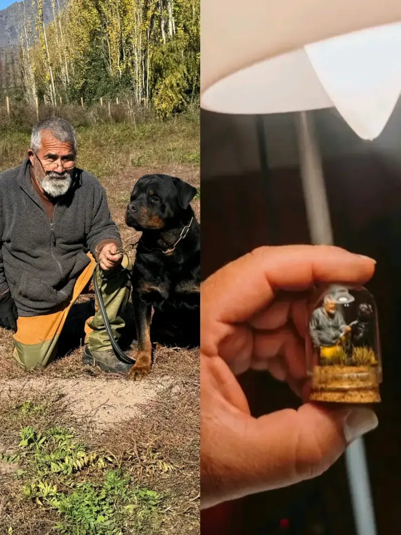 Miniaturas personalizadas - 2