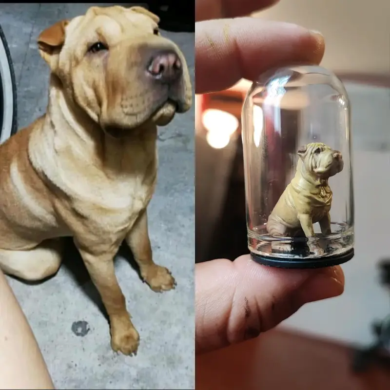 Miniaturas personalizadas - 5