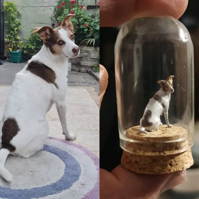 Miniaturas personalizadas - 6