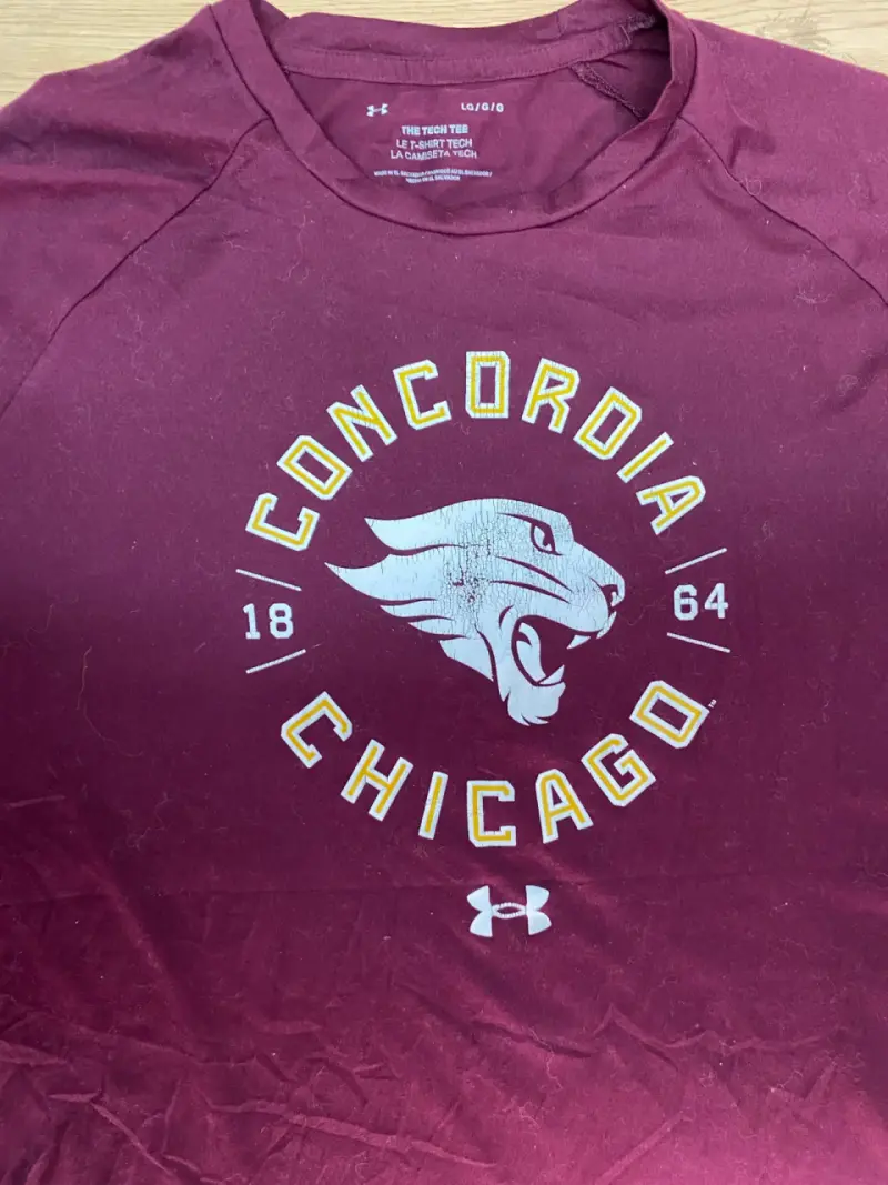 Polera Under Armour Concordia Chicago burdeos - 2