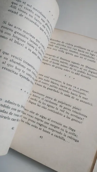 Libro de poemas 'Trasparencia' de Francisco Donoso G. - miniatura 5