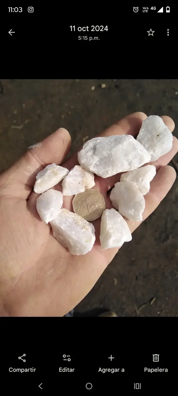 Piedras de cuarzo blanco para decoración y jardín - 2