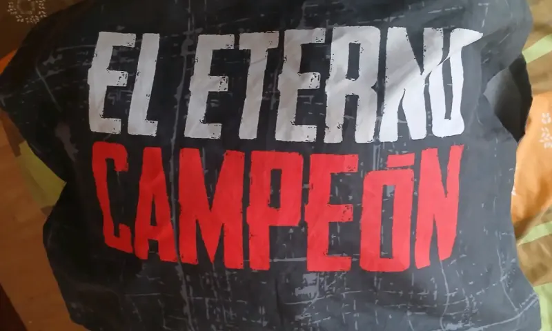 Plumon/Cobertor de cama Colo-Colo negro - 5