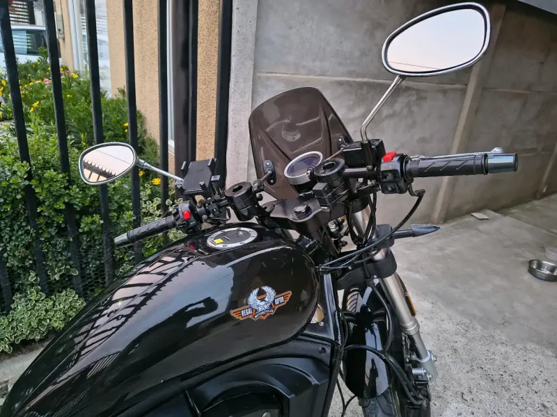 Regal Raptor pilder 400 - 2
