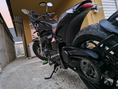 Regal Raptor pilder 400 - miniatura 4