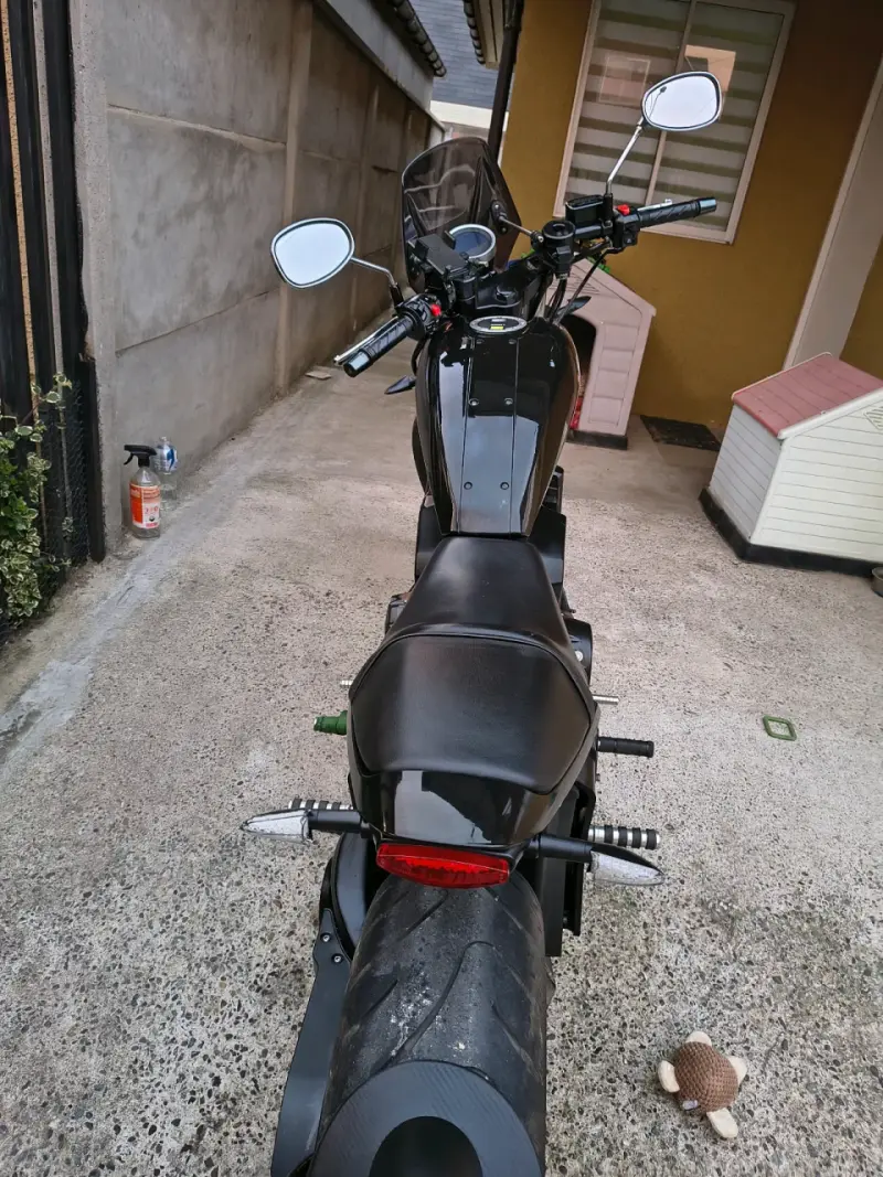 Regal Raptor pilder 400 - 5