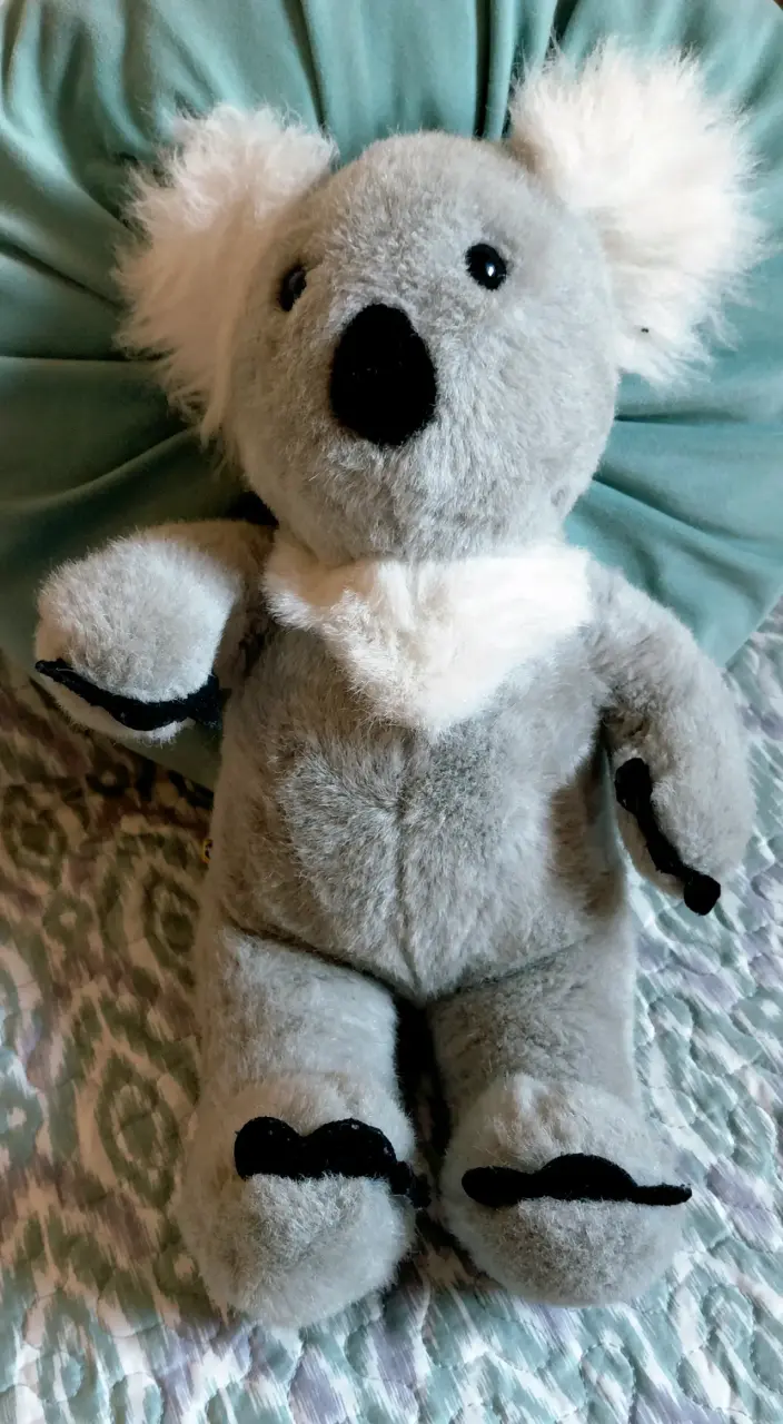 Set de peluches variados para niños - 2