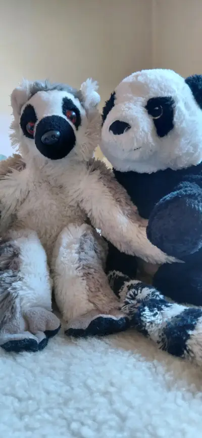 Set de peluches variados para niños - miniatura 3
