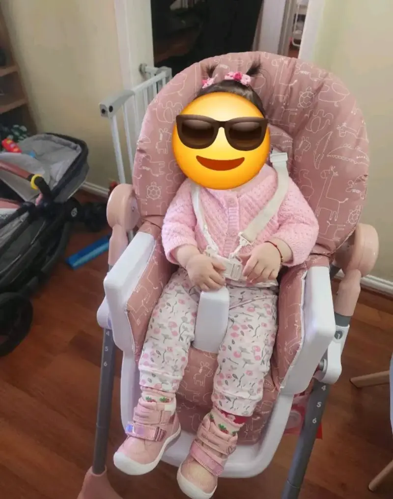 Silla de comer para bebé Bebesit rosa - 2