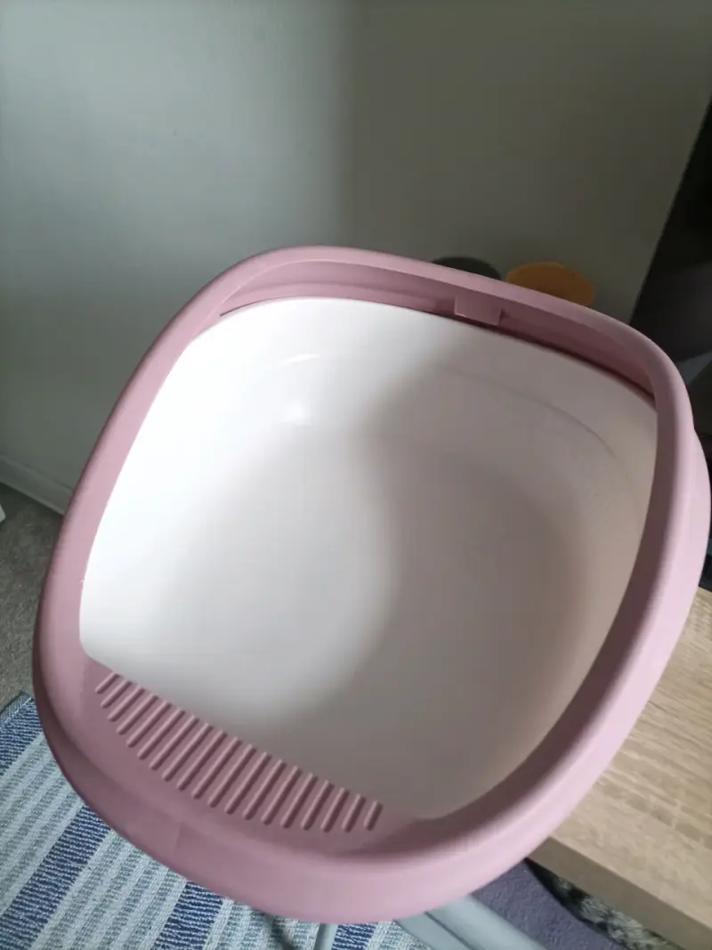 Arenero para gato nuevo