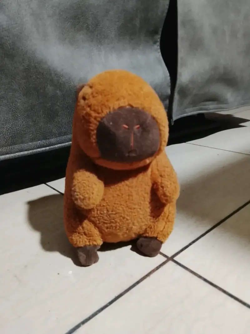 Peluche de capibara suave y tierno - 2