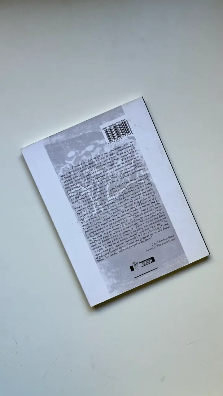 Libro 'Regresos al modo de Gabriela' - 2